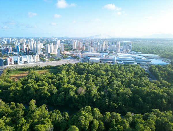 Voici comment l'actualité façonne l'éducation de nos enfants : Découvrez les impacts et les enjeux.