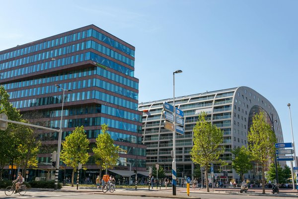 Vivre et Travailler avec l'Arthrite : Astuces et Adaptations Essentielles